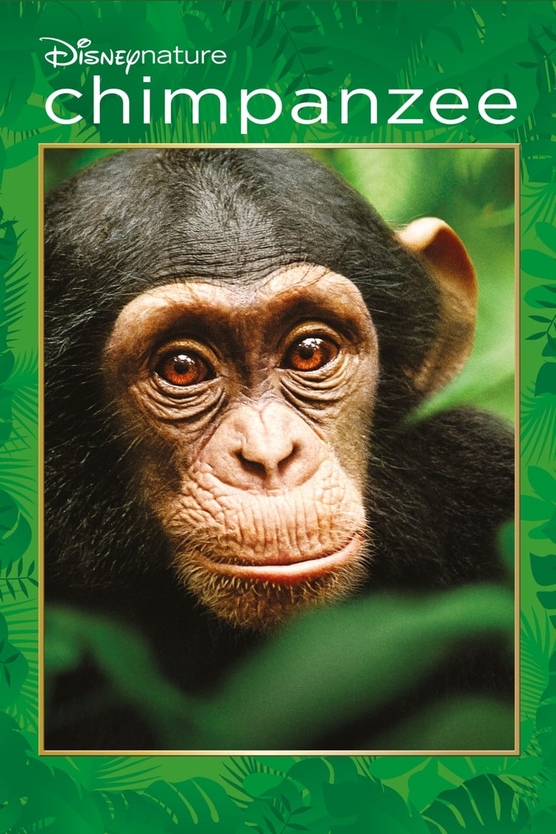 Chimpanzee ชิมแปนซี ผจญภัยในป่ากว้าง (2012) บรรยายไทย