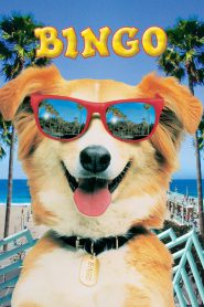 Bingo บิงโก (1991) บรรยายไทย