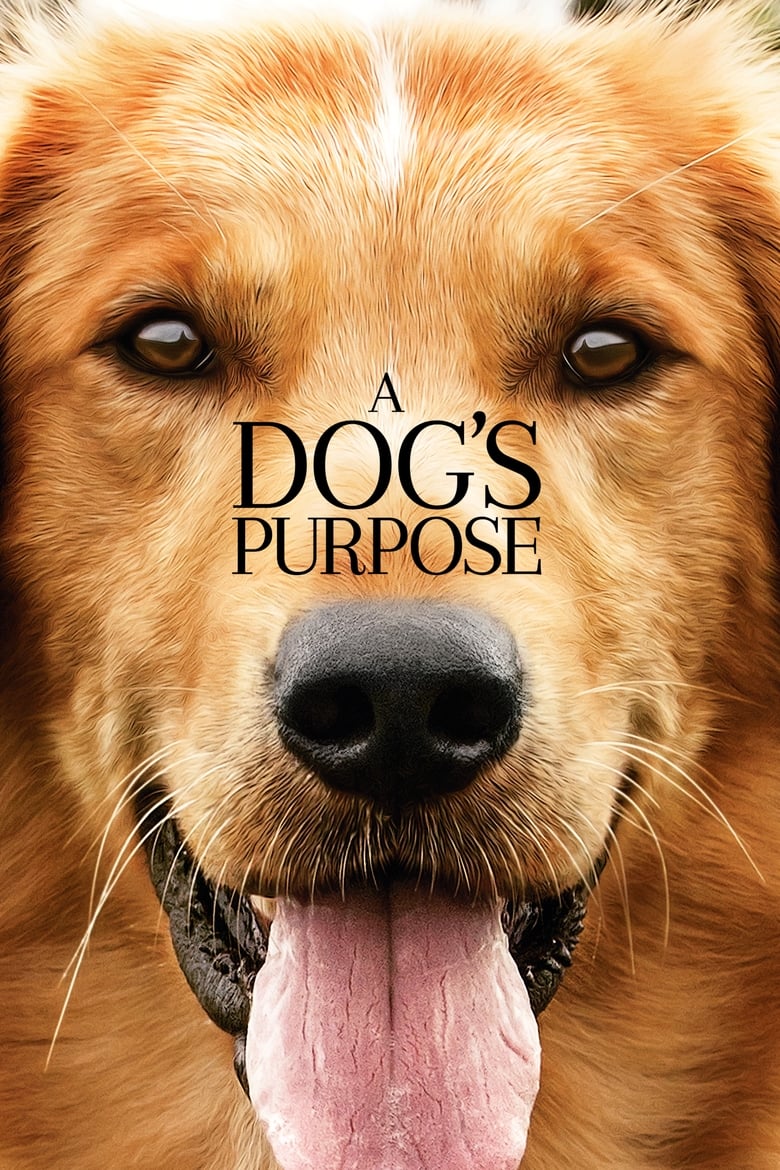 A Dog’s Purpose หมา เป้าหมาย และเด็กชายของผม (2017)