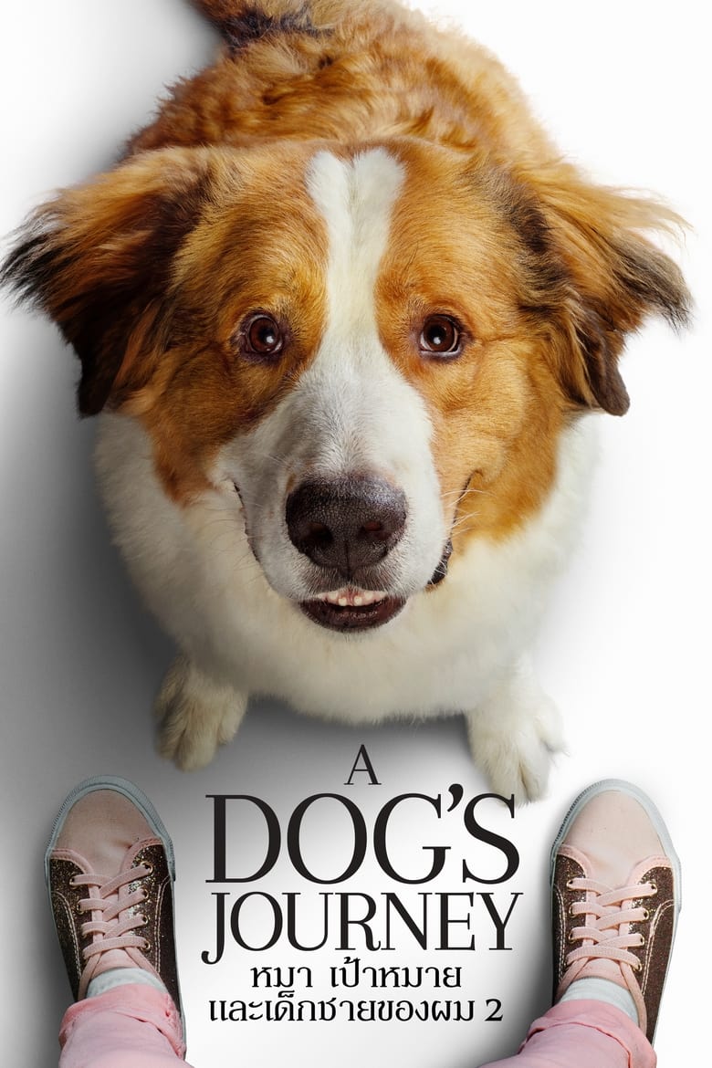 A Dog’s Journey หมา เป้าหมาย และเด็กชายของผม 2 (2019)