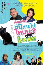 Only The Cat Knows เจ้าเหมียวจิบิ หายไปไหนนะ? (2019)