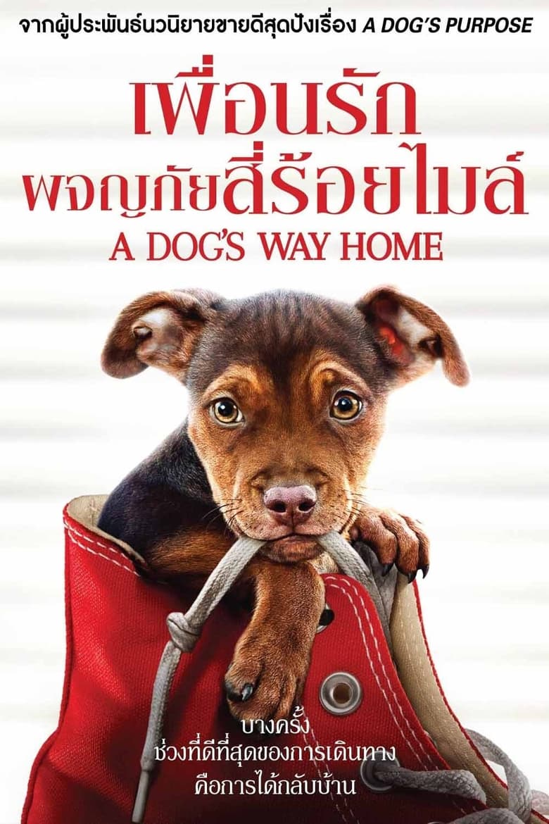 A Dog’s Way Home เพื่อนรักผจญภัยสี่ร้อยไมล์ (2019)
