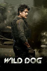 Wild Dog (2021) บรรยายไทย