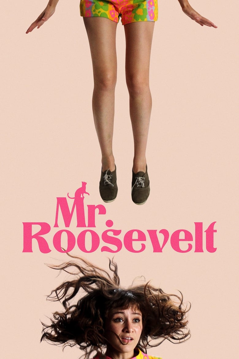 Mr. Roosevelt (2017) บรรยายไทย