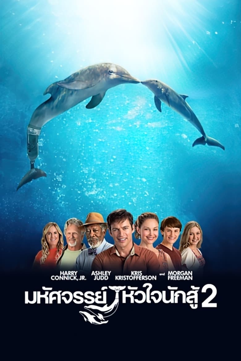 Dolphin Tale 2: มหัศจรรย์โลมาหัวใจนักสู้ (2014)