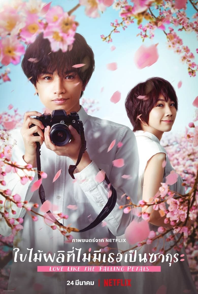 Love Like the Falling Petals (My Dearest, Like a Cherry Blossom) ใบไม้ผลิที่ไม่มีเธอเป็นซากุระ (2022) NETFLIX