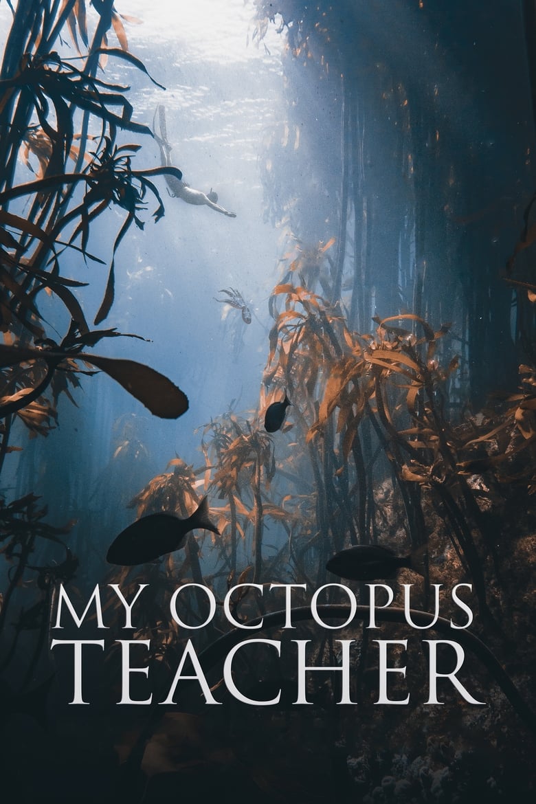 My Octopus Teacher บทเรียนจากปลาหมึก (2020) NETFLIX บรรยายไทย