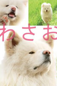 Wasao วาซาโอะ (2011) บรรยายไทย