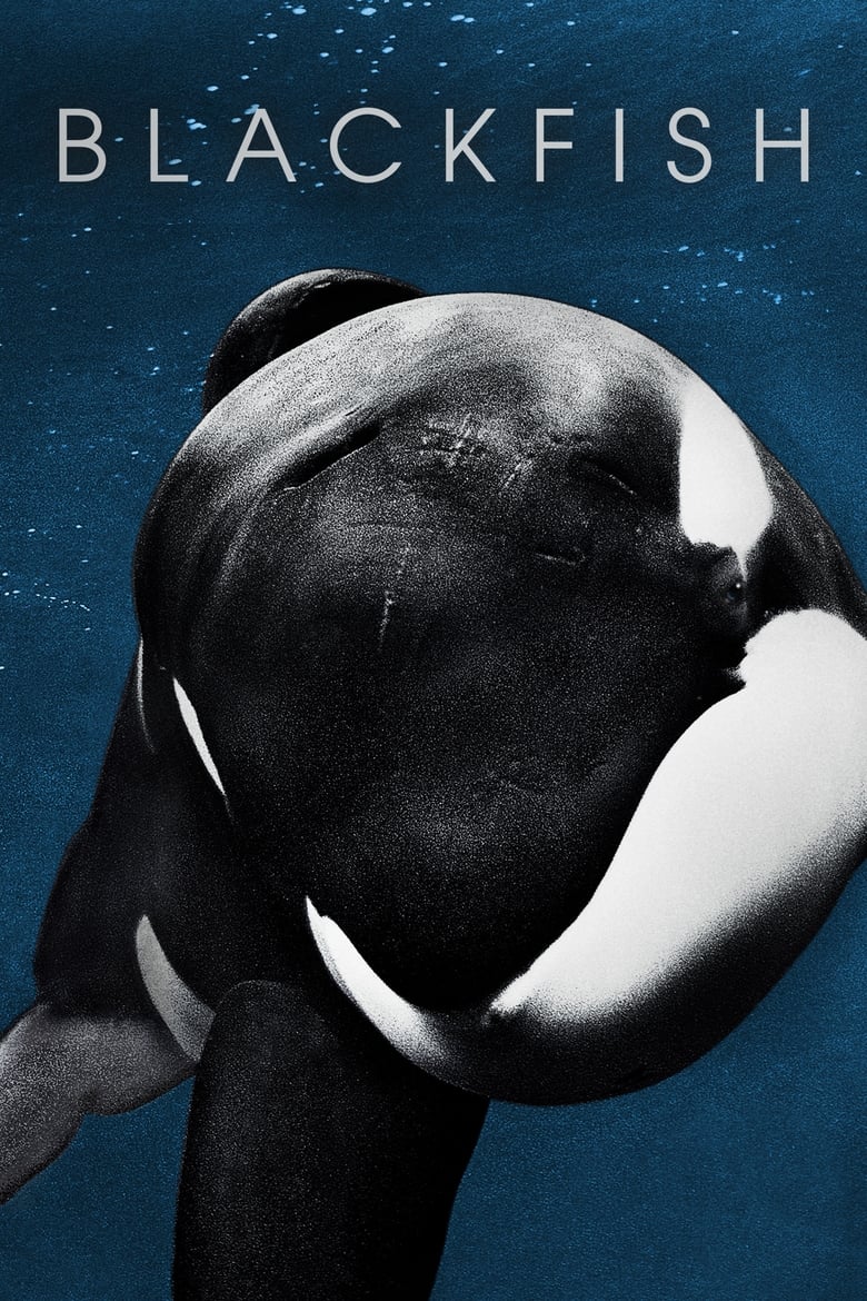 Blackfish แบล็คฟิช วาฬเพชฌฆาต (2013) บรรยายไทย