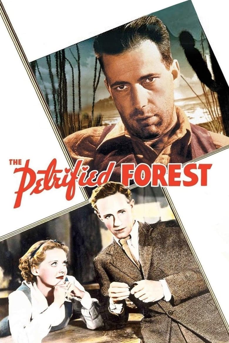 The Petrified Forest (1936) บรรยายไทย