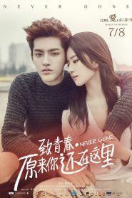 Never Gone (Zhi qing chun 2: Yuan lai ni hai zai zhe li) (2016) บรรยายไทยแปล
