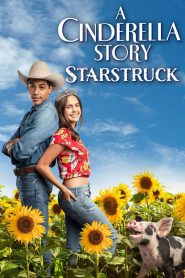 A Cinderella Story: Starstruck (2021) บรรยายไทย