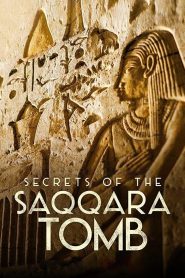Secrets of the Saqqara Tomb ไขความลับสุสานซัคคารา (2020) NETFLIX บรรยายไทย